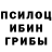 Галлюциногенные грибы ЛСД VADIM VAHRAMEEV