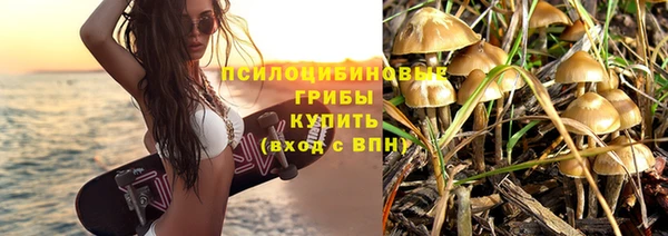 трава Ладушкин