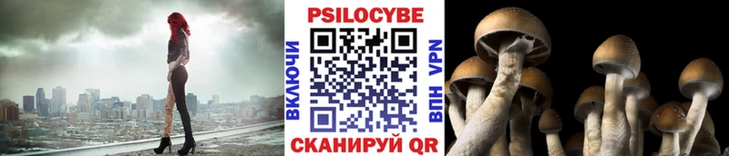 купить  цена  Сосногорск  Галлюциногенные грибы мухоморы 